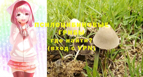 индика Навашино