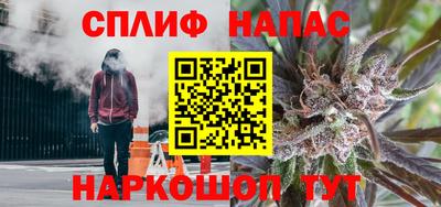 эйфоретик Аргун