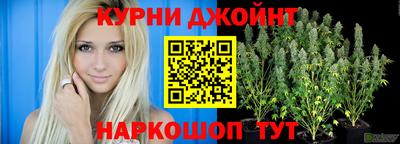 ПСИЛОЦИБИНОВЫЕ ГРИБЫ Аргун