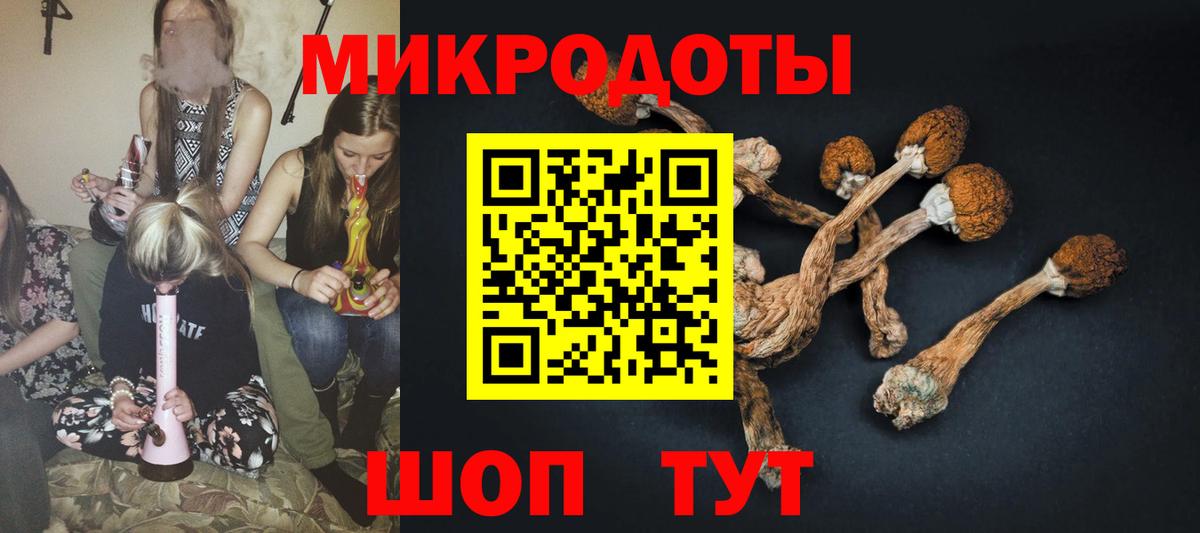 Псилоцибиновые грибы Magic Shrooms Березники